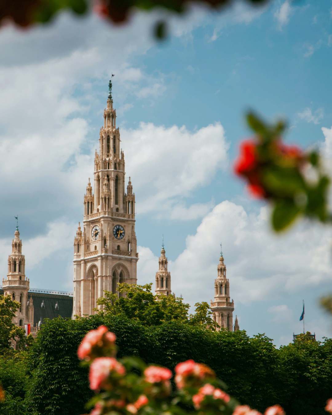 Unlock Vienna’s Data Science Goldmine: How to Land High-Paying, Low-Competition Roles in 2025